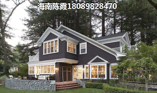 2025年海南东方市房产前景