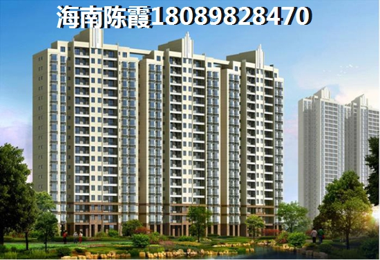 海南有什么发展前景？