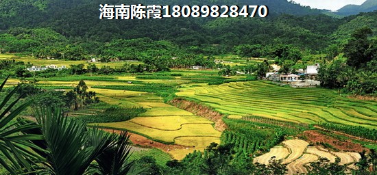 鸿坤理想海岸湖南业主点评了解一下，鸿坤理想海岸买房怎样？